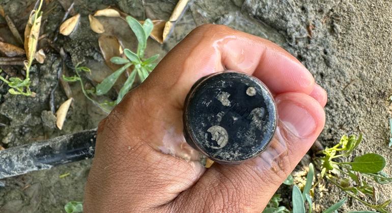 Lime-flavoured memories drive innovation on Saudi farm