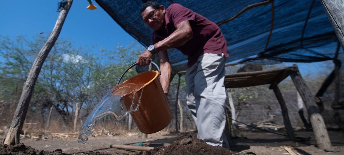 Manuel Montiel mixes some natural fertilizer made from goat manure in Ipasharrain village, Colombia. Manuel Montiel mixes some natural fertilizer made from goat manure in Ipasharrain village, Colombia.