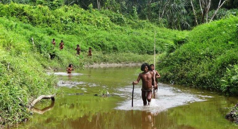 The Shompen or Shom Pen are the indigenous people of the interior of Great Nicobar Island, part of the Indian union territory of Andaman and Nicobar Islands. The Shompen or Shom Pen are the indigenous people of the interior of Great Nicobar Island, part of the Indian union territory of Andaman and Nicobar Islands.