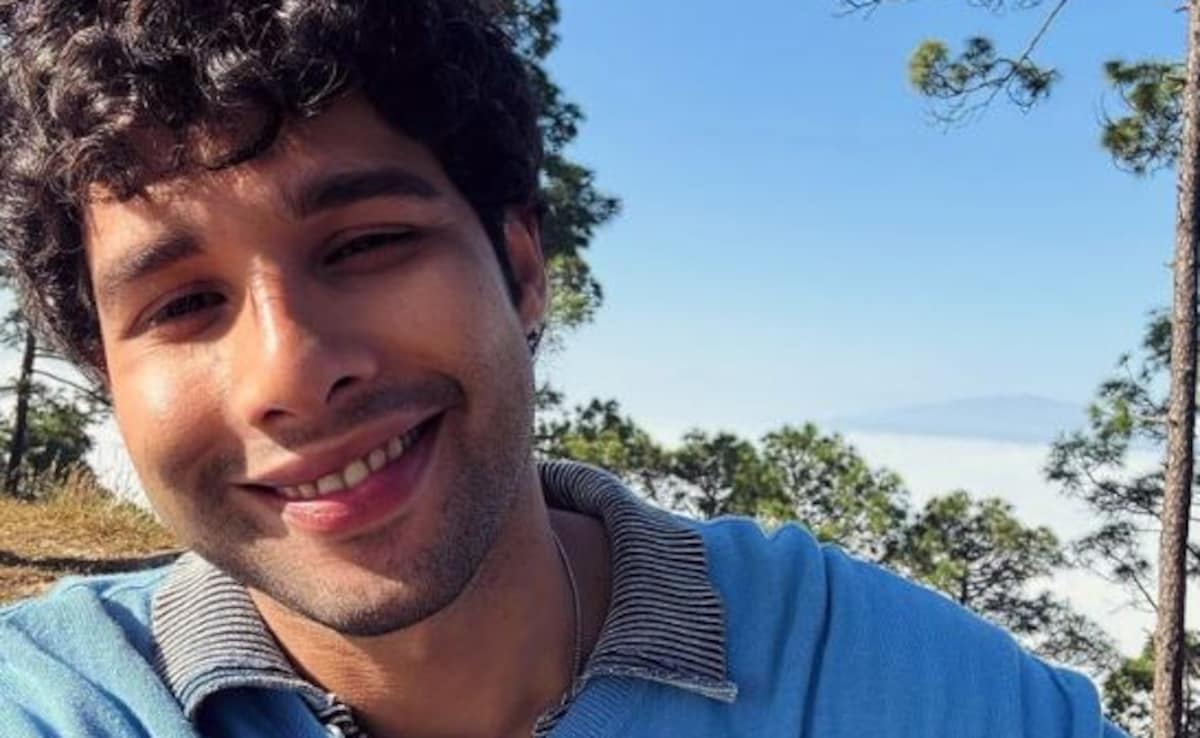 Will Siddhant Chaturvedi Star In Yuvraj Singh's Biopic? Here's Why Fans Think So