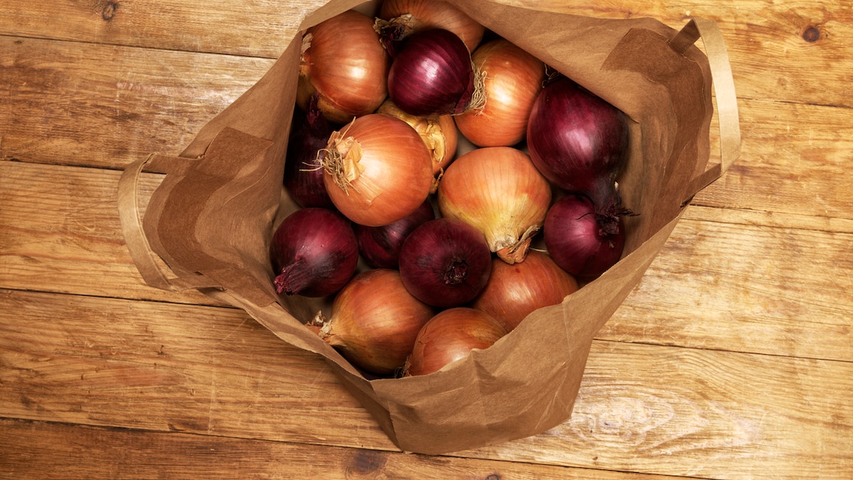 Bengaluru Customer Shocked After Instamart Agent Asks For Onion After Delivering Groceries