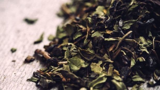 green tea