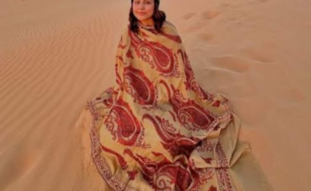 Hina Khan, Battling Cancer, Spends Christmas In Abu Dhabi: "Most Amazing Memories"