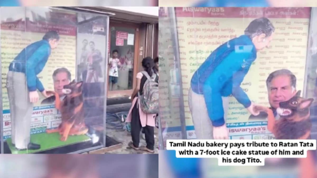 Tamil Nadu Bakery Pays Tribute To Ratan Tata With 7-Foot Cake Sculpture