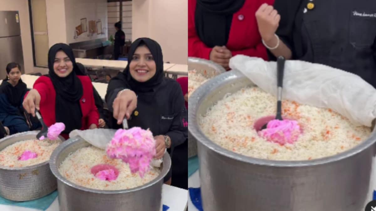 “Instagram Is Missing Dislike Button Here”: Viral Video Of Ice Cream Biryani Sparks Online Fury