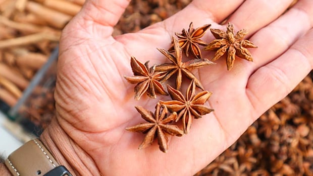 Star anise is used in biryanis, soups and broths. Star anise is used in biryanis, soups and broths.
