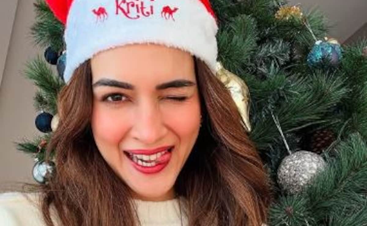 Kriti Sanon Enjoys Ustad Rahat Fateh Ali Khan's Concert With Rumoured Boyfriend Kabir Bahia
