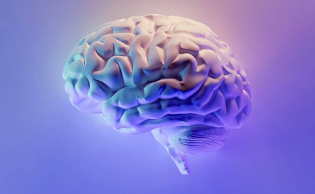 US Teens Brain Structure Study Links Early Substance Use Risk