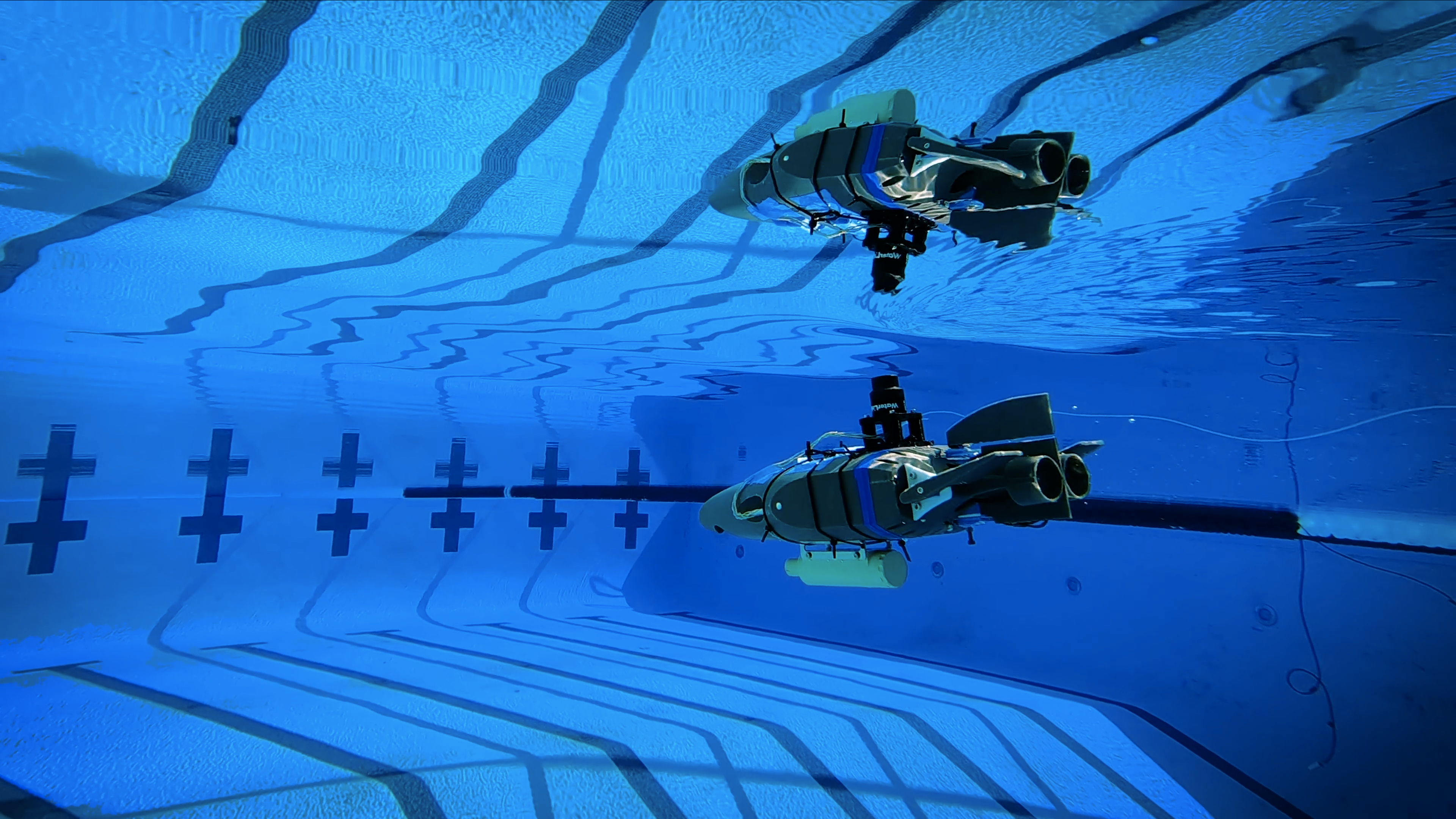 NASA Ocean World Explorers Have to Swim Before They Can Fly