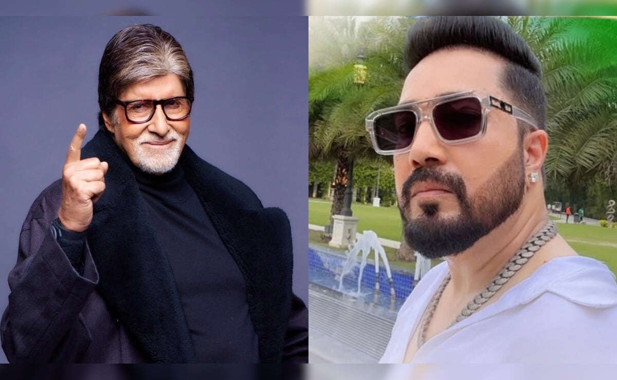 Why Mika Singh Gatecrashed Amitabh Bachchan's Diwali Party