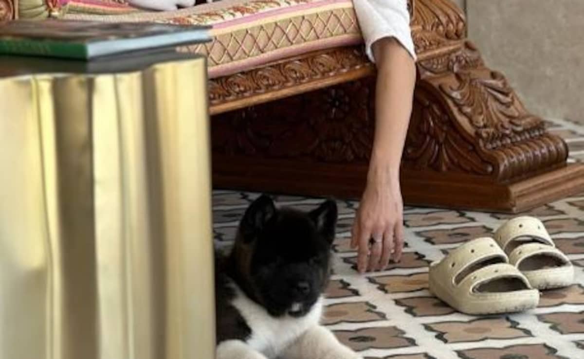 Janhvi Kapoor's "Sleeping Beauty" Mode From Rumoured Boyfriend Shikhar Pahariya's Photo Dump