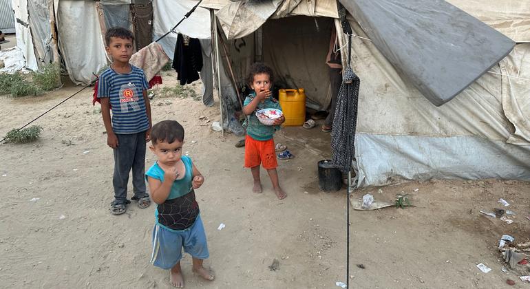 Gaza: ‘Every day without a ceasefire will bring more tragedy’