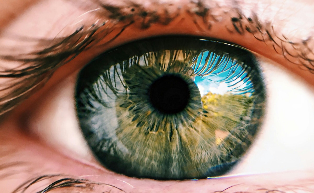 Pupil Size Indicates Which Memories We Relive In Dreams: Study