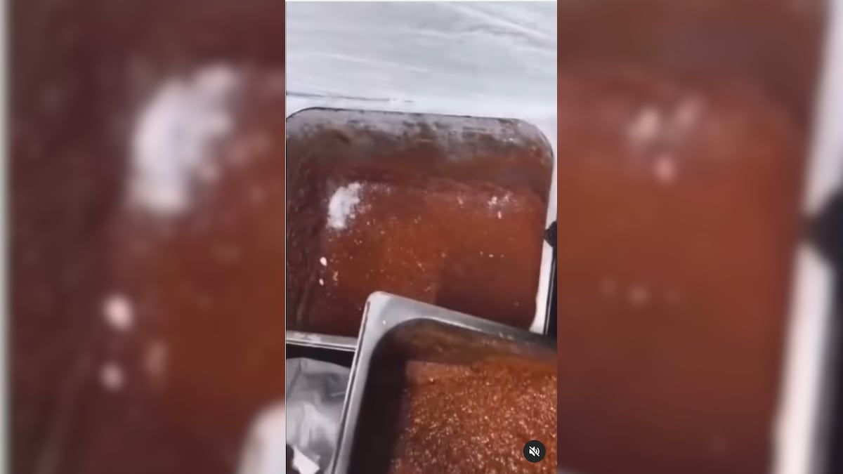 Watch: Jaipur Restaurant Exposed For Storing Meat With Vegetarian Food