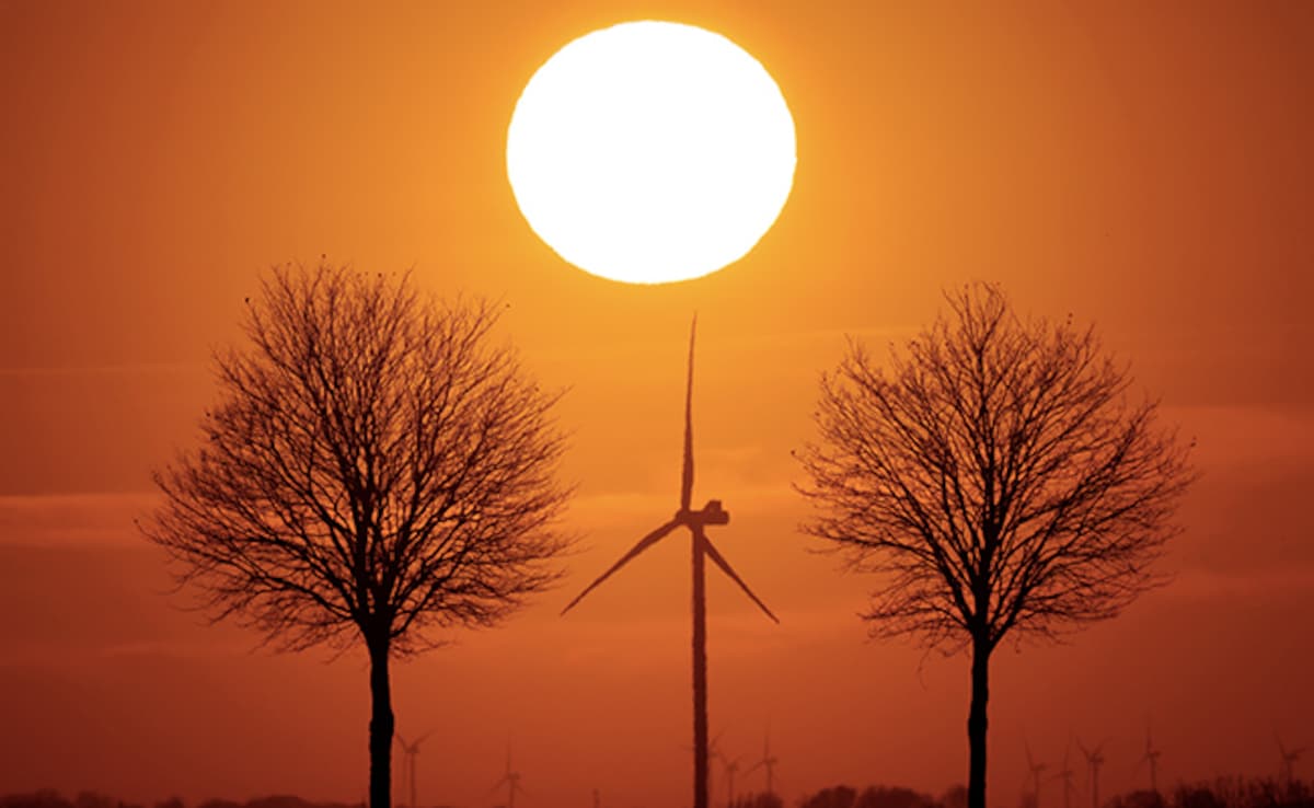 2024 Was Japan's Hottest Year Ever, Official Says Climate Change A "Factor"