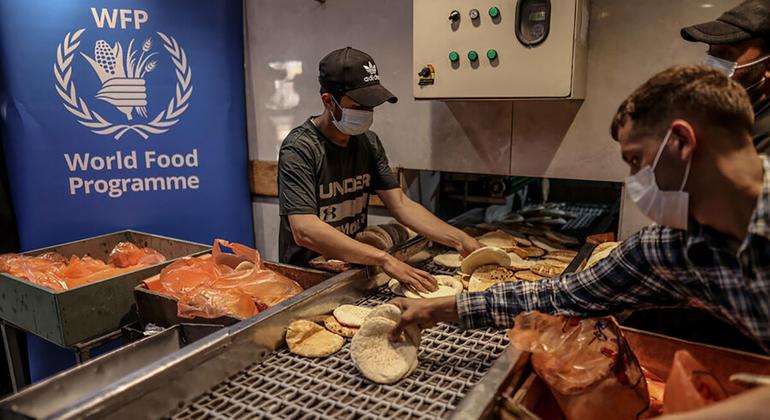 Gaza war: UN World Food Programme condemns Israeli attack on aid convoy