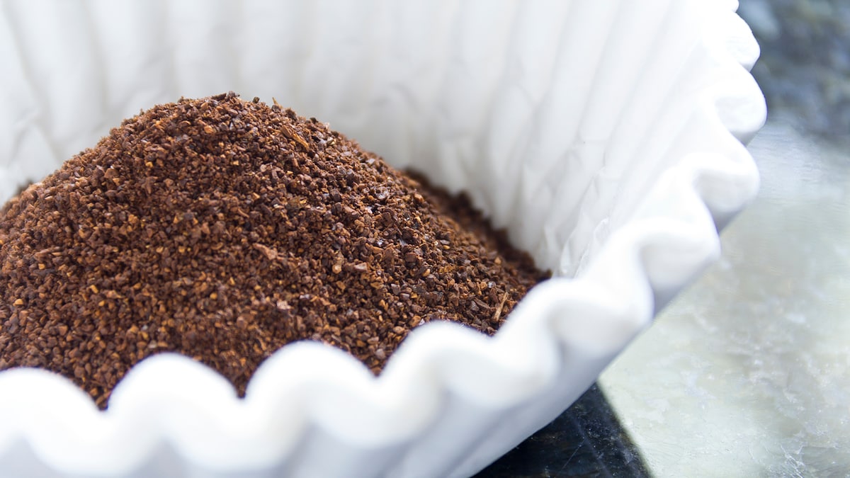 Coffee Filters Arent Just For Coffee - 6 Surprising Uses Youll Love
