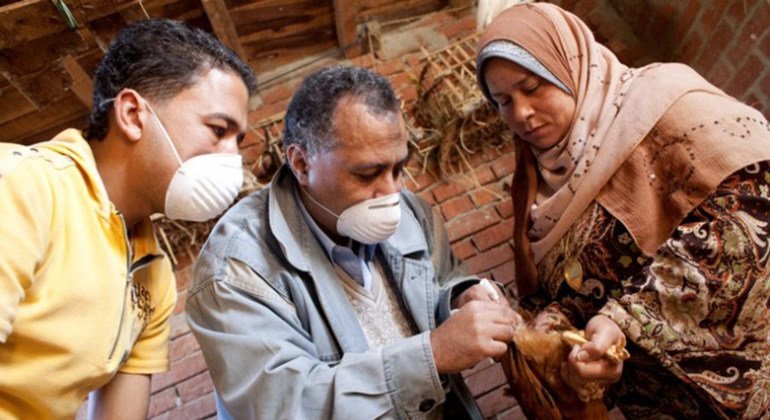 Avian flu risk still ‘low’ after first US patient dies from H5N1 virus: WHO