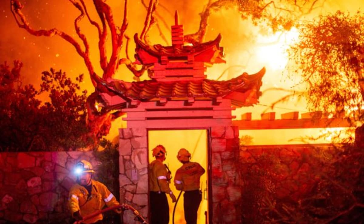 Firefighters battle the Palisades Fire as it burns during a windstorm on the west side of Los Angeles Firefighters battle the Palisades Fire as it burns during a windstorm on the west side of Los Angeles