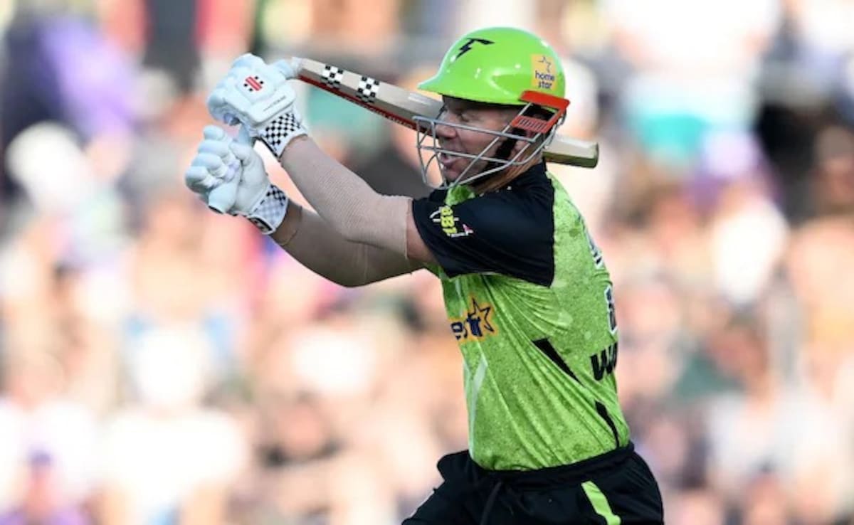 David Warner Nearly Injures Himself After Bat Breaks In Bizarre Incident - Video