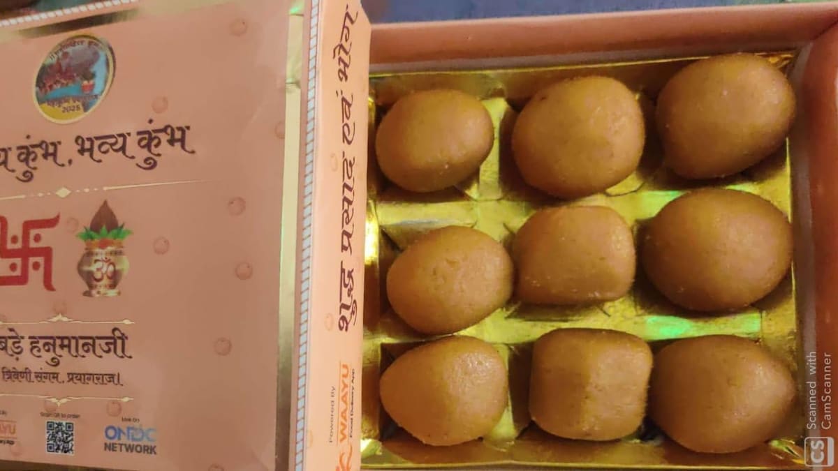 Maha Kumbh 2025: Food Delivery Apps Gear Up For 1.5 Crore Mahaprasad Orders Nationwide