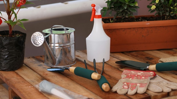Amazons Top Deals On Gardening Tools Amazons Top Deals On Gardening Tools