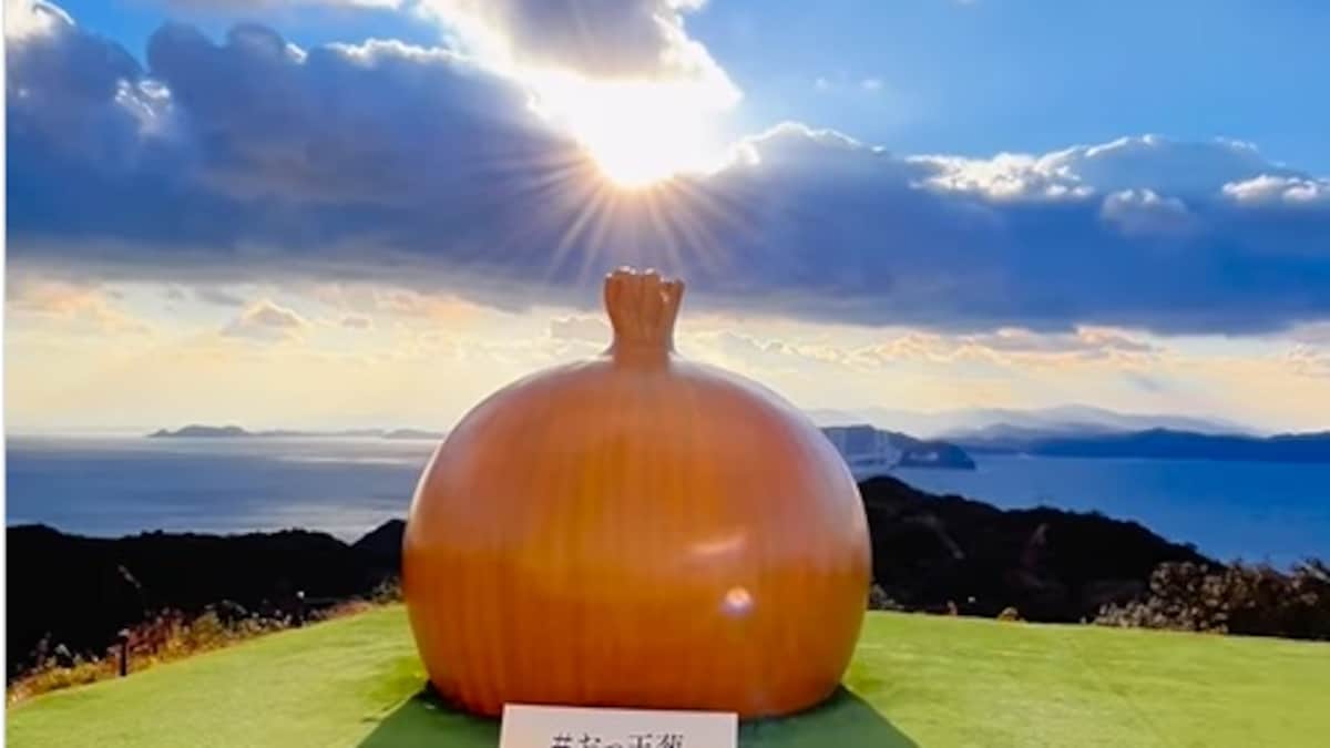 “Crazy, Funny And Unique”: Internet Reacts To Viral Video Of Onion Island In Japan
