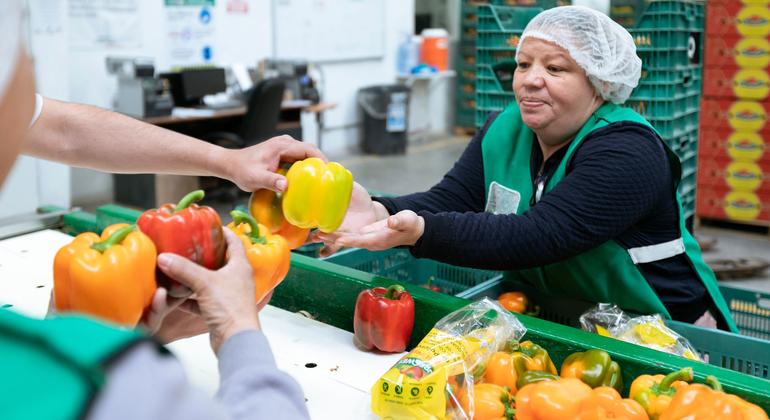 Economic recovery is losing steam, warns UN labour agency