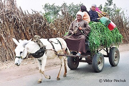 Return from the field (Nahua)
