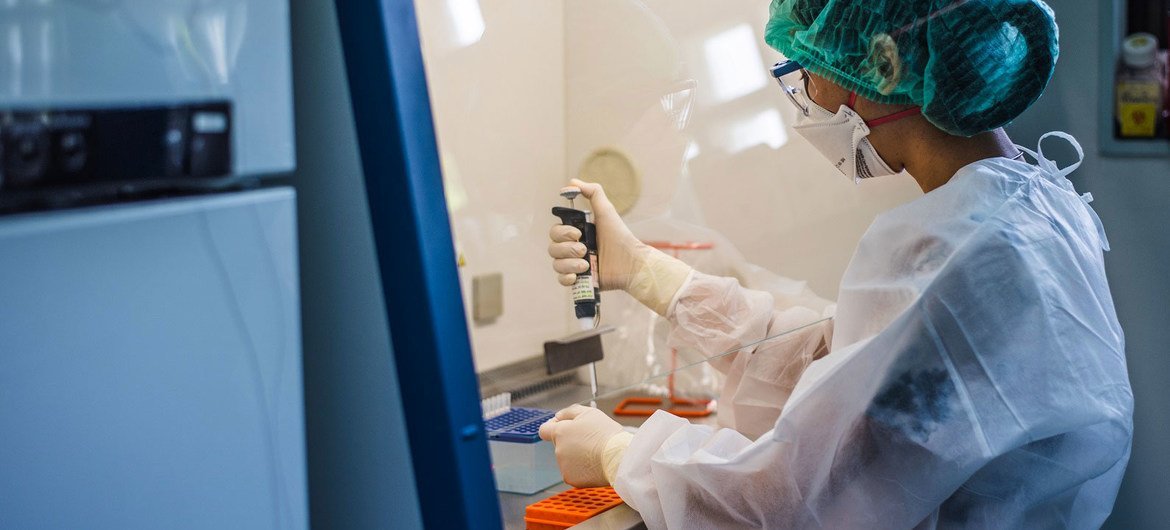 A laboratory scientist works at a WHO collaborating research centre in Thailand. (file) A laboratory scientist works at a WHO collaborating research centre in Thailand. (file)