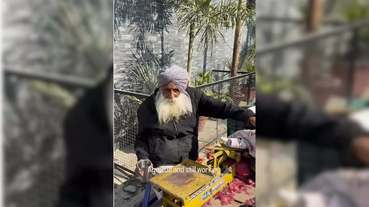 Viral: 108-Year-Old Street Vendor In Punjab Continues To Sell Aloo-Pyaaz With A Smile