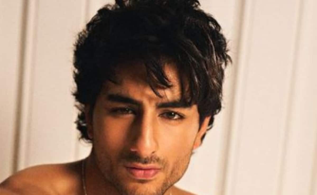 Karan Johar Confirms Saif Ali Khan's Son Ibrahim Ali Khan's Debut: "Films Are In His Genes"