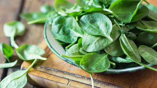 Spinach is an excellent alternative to fenugreek leaves. Spinach is an excellent alternative to fenugreek leaves.