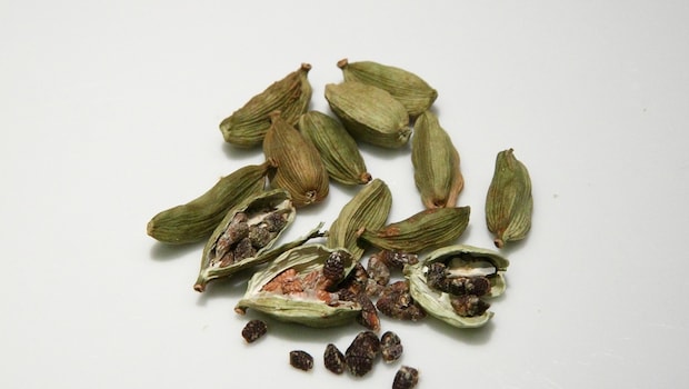 Cardamom Cardamom