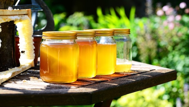 Ginger Wine mix stored in a Glass Jar Ginger Wine mix stored in a Glass Jar