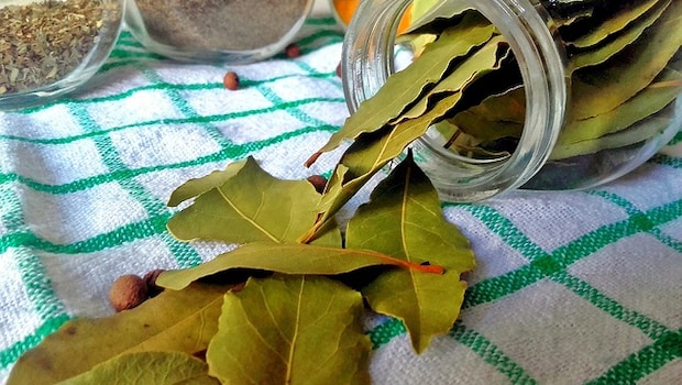 Bay Leaves Bay Leaves