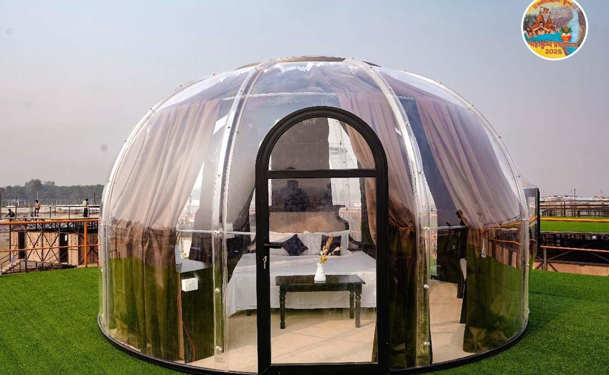 A Sneak Peek That Will Leave You Awestruck