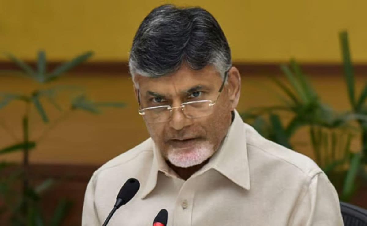 Andhra Announces Rs 25 Lakh Compensation, Jobs For Families Of Victims