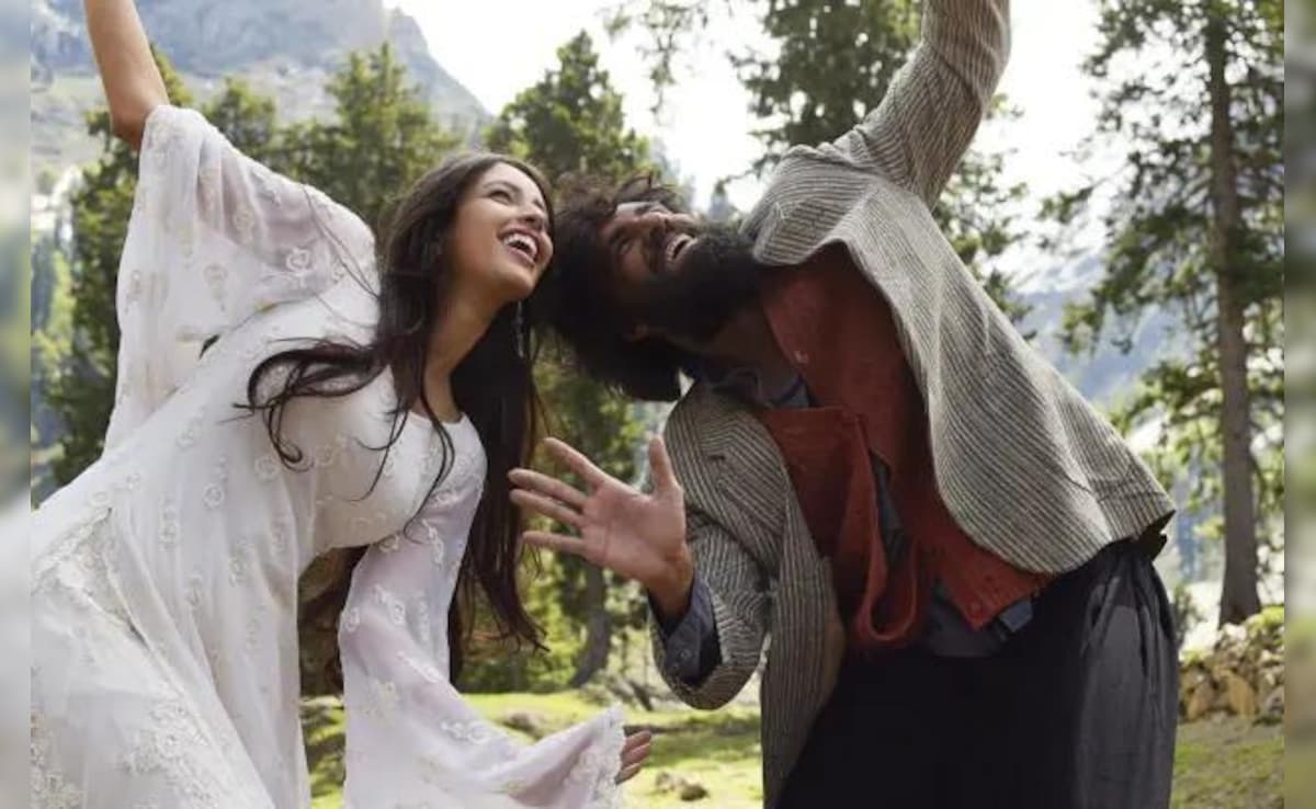 Avinash Tiwary And Triptii Dimri’s Film’s Re-Release Thriving For 25 Weeks