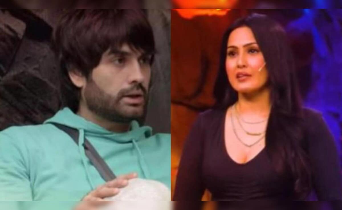Bigg Boss 18: Vivian Dsena On His Fallout With Shakti Co-Star Kamya Punjabi: "I Felt Strangled"