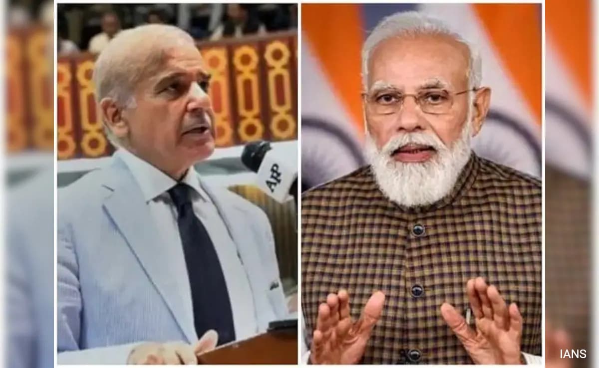 India On Pak Deputy PM's Remark