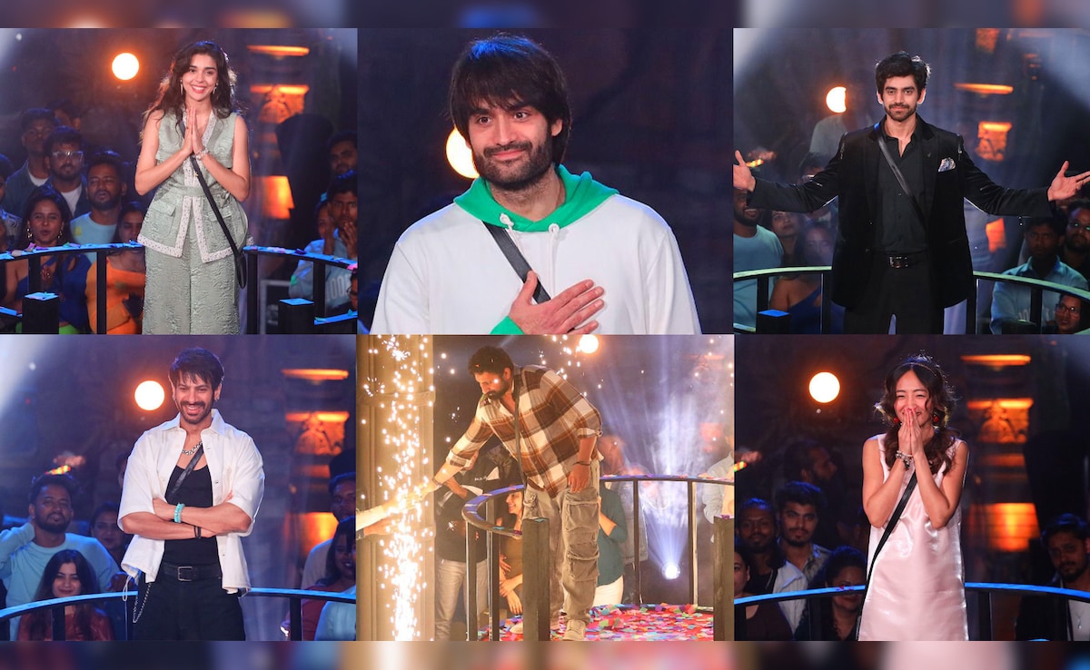 Rajat Dalal To Vivian Dsena, Decoding The Finalists’ Journeys On The Show