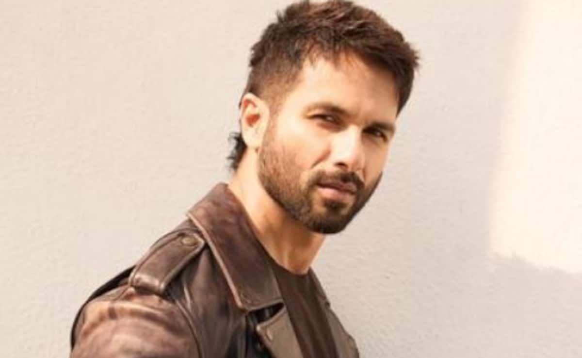 Shahid Kapoor On Deva vs Kabir Singh Comparisons