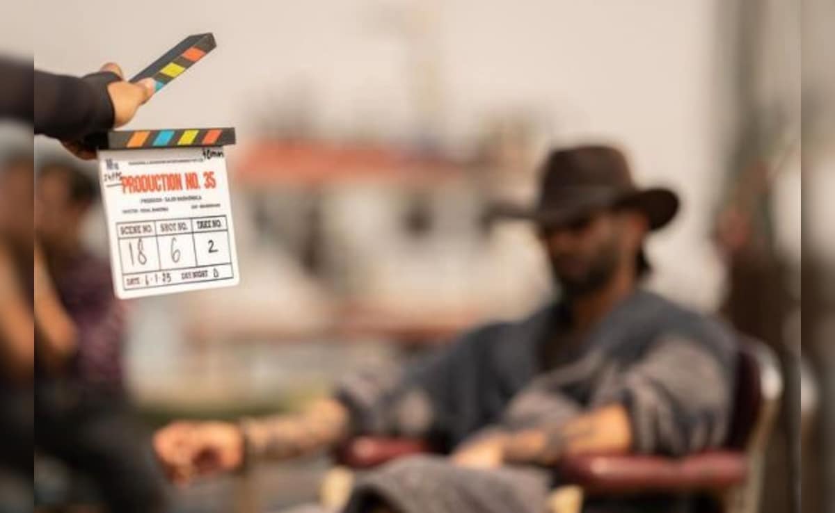 Shahid Kapoor, Triptii Dimri Begin Shooting For Vishal Bhardwaj's Action-Thriller