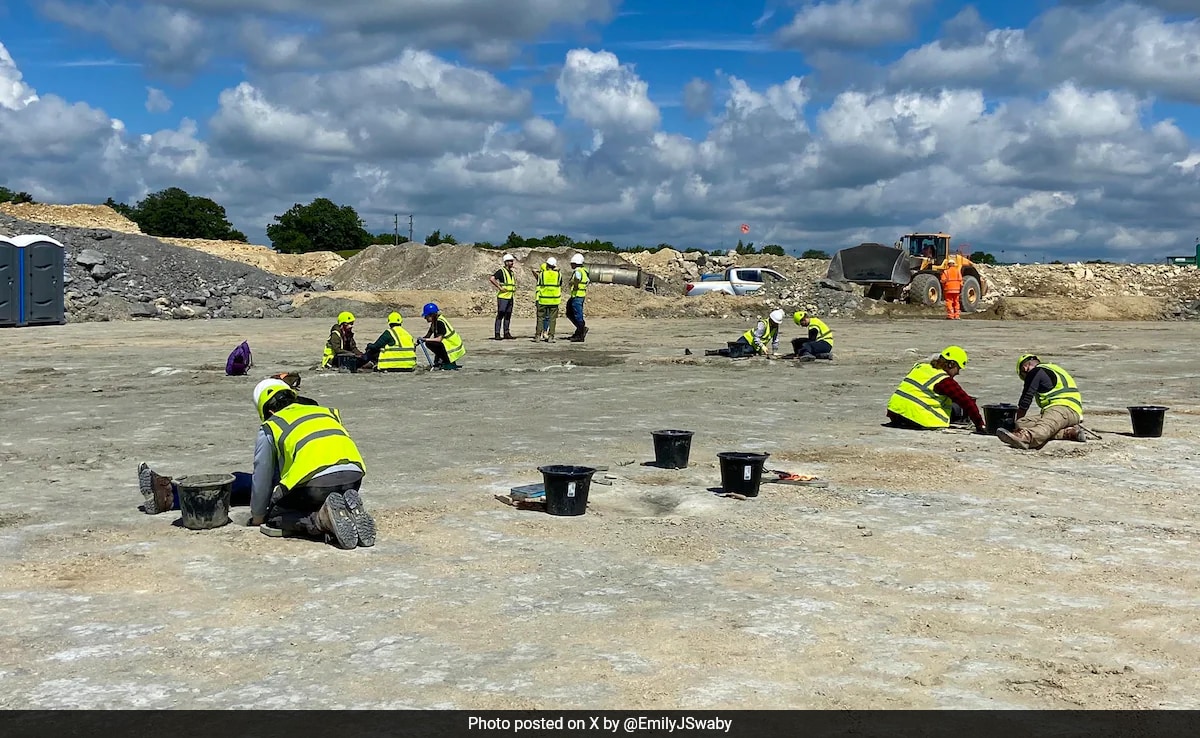 UK's Biggest Dinosaur Footprint Site Unearthed Dating Back 166 Million Years