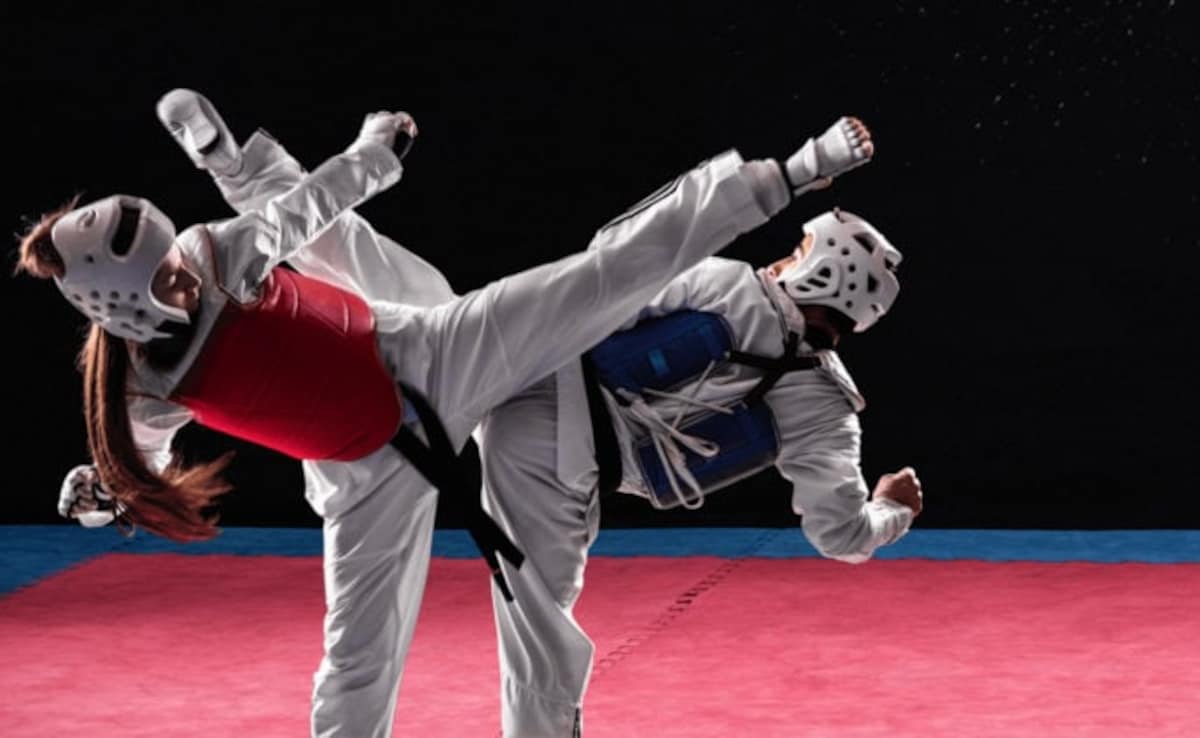 Taekwondo Corruption Scandal: Delhi High Court Set Aside Removal Of Director Over 'Fixing Results'