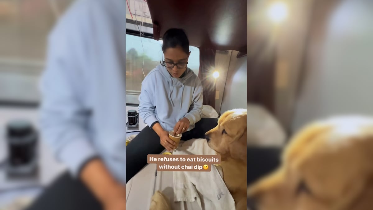 Watch: Dog Refuses To Eat Biscuits Without Dipping These In Tea First, Internet Reacts