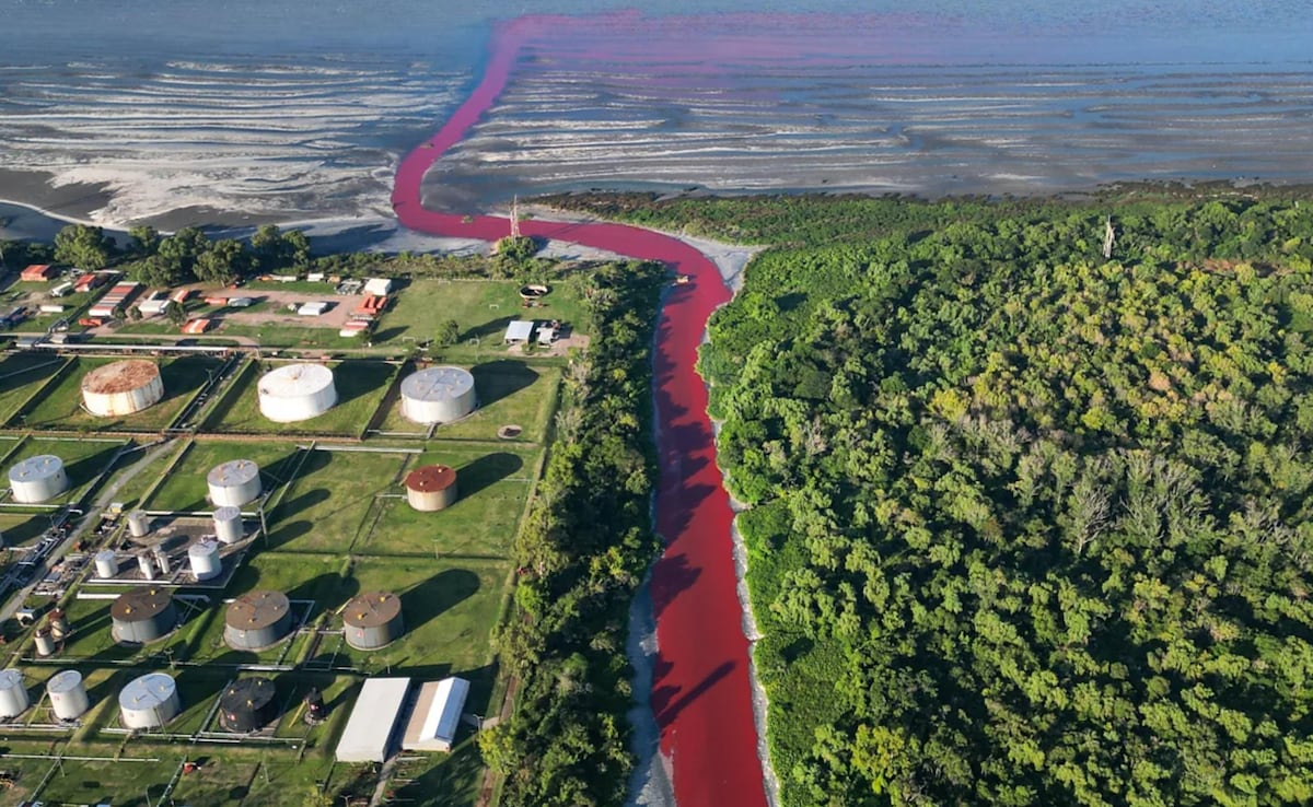 Canal In Argentina Mysteriously Turns Bright Red, Leaves Locals Baffled