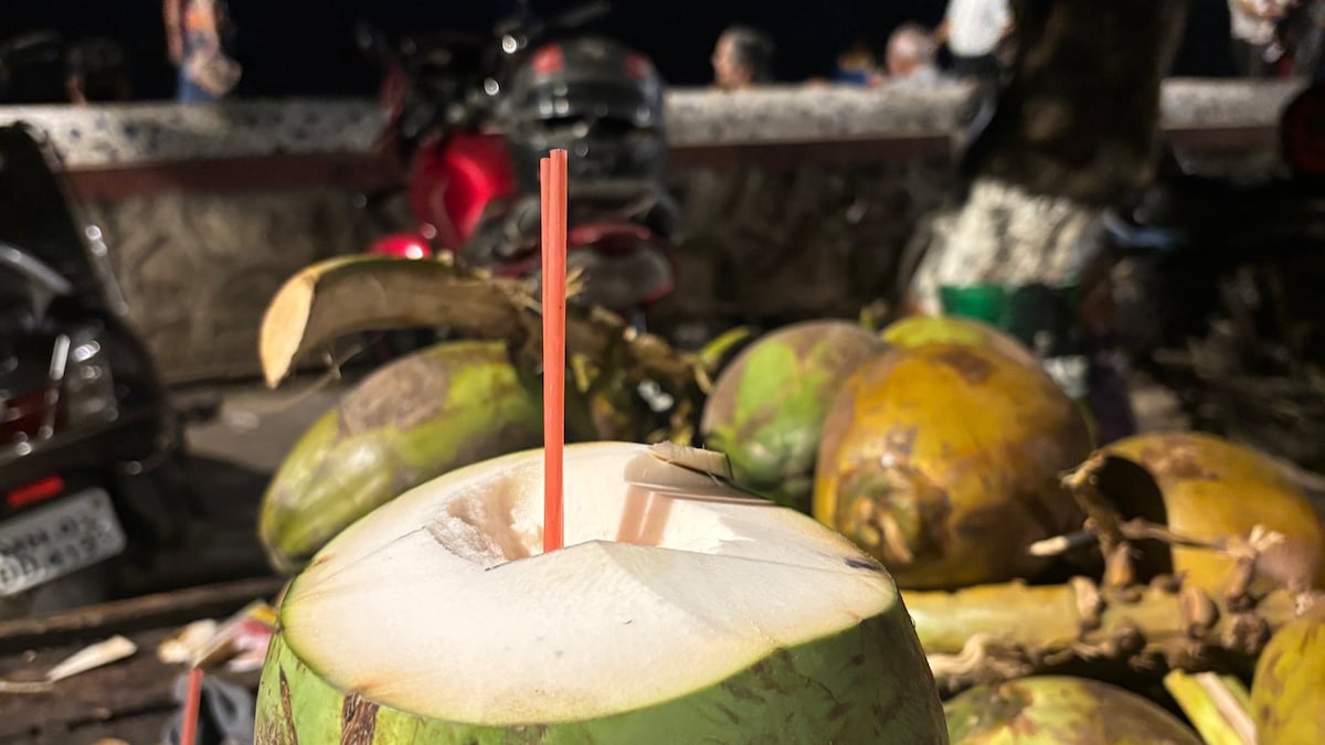 Viral: Coconut Sellers “Grounding Advice” To A Rushing Woman Wins Hearts Online