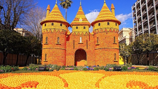 A magnificent structure made of lemons and oranges A magnificent structure made of lemons and oranges